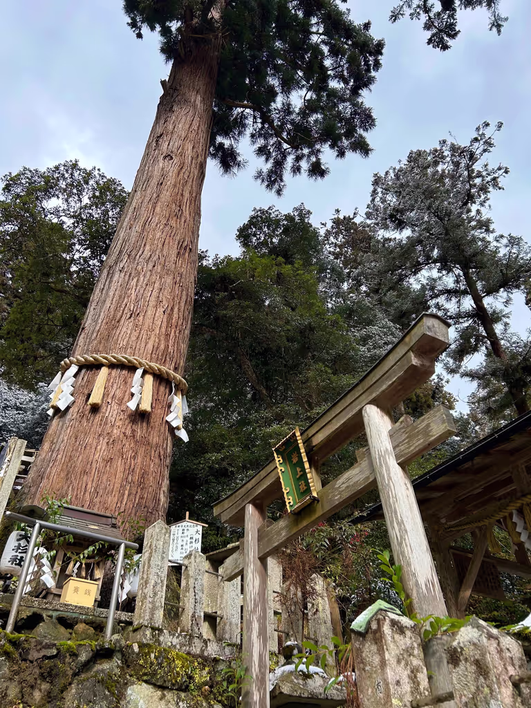 Kyoto Private Tour - 