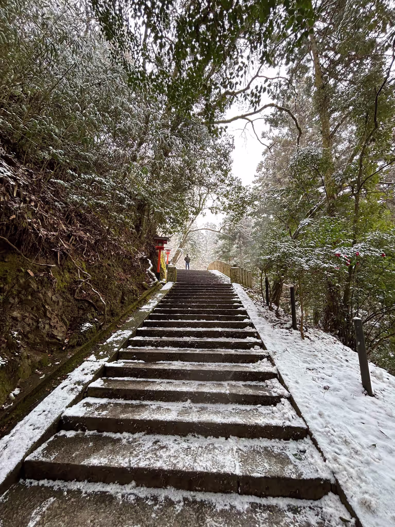 Kyoto Private Tour - 