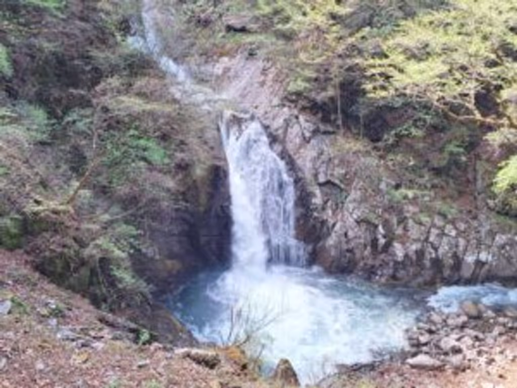 Yamanashi Private Tour - 