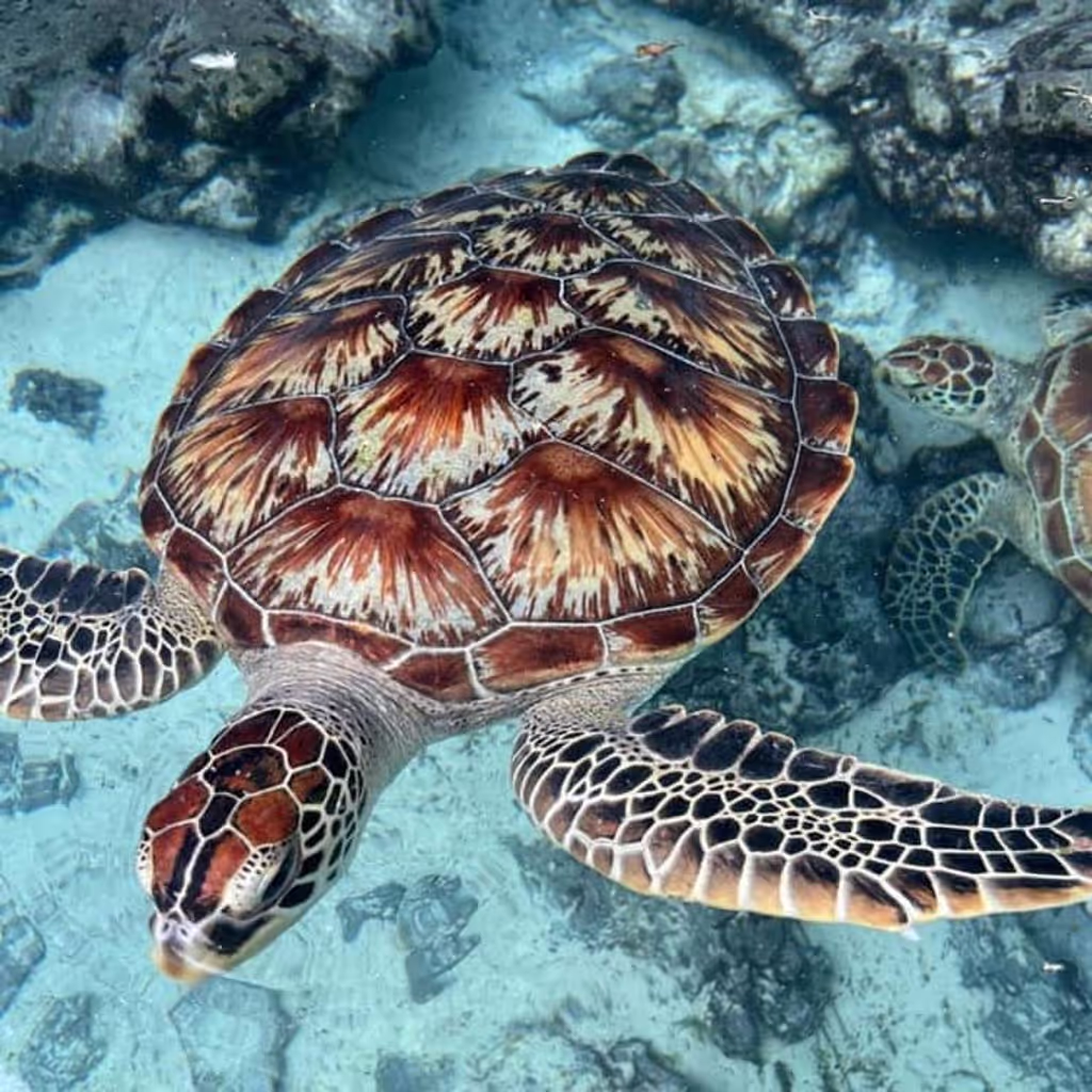 Zanzibar Private Tour - 