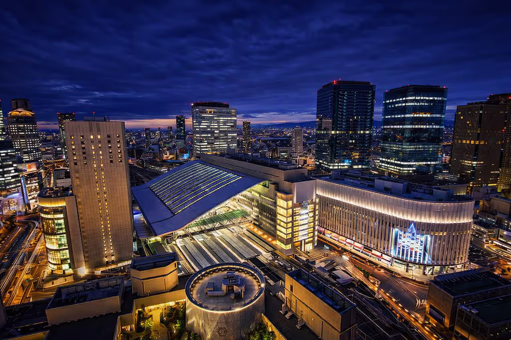 Osaka Private Tour - 
