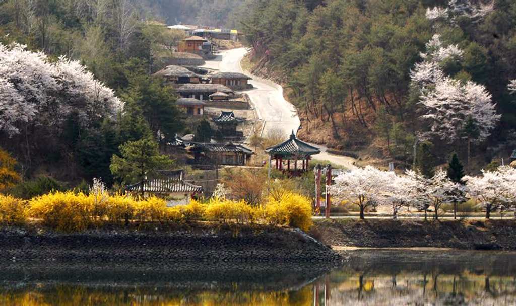 North Gyeongsang Private Tour - 