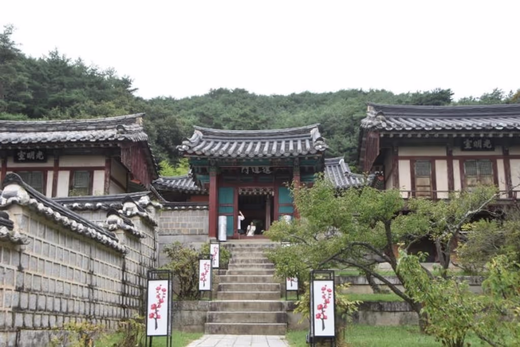 North Gyeongsang Private Tour - 