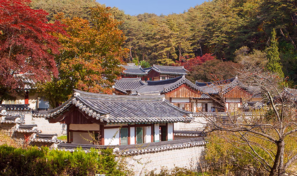 North Gyeongsang Private Tour - 