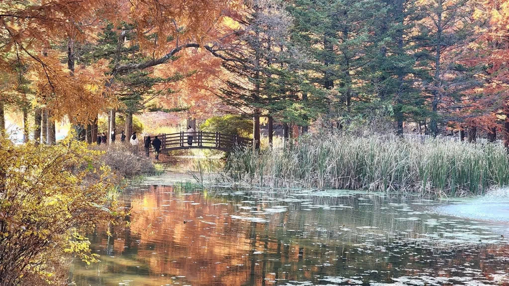 North Gyeongsang Private Tour - Nakgang River Waterway Park, the Giverny of Korea
