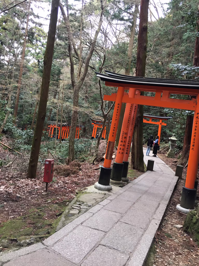 Kyoto Private Tour - 
