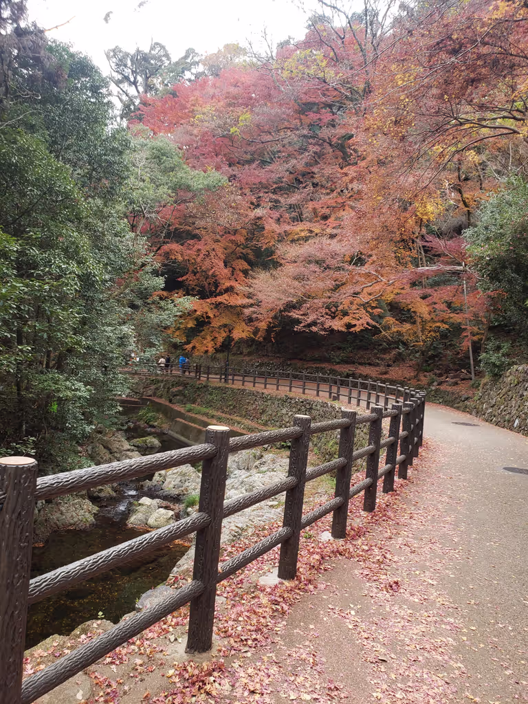 Osaka Private Tour - 