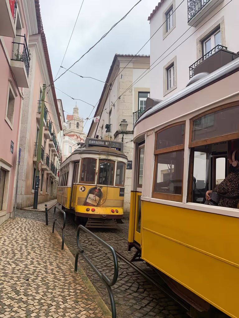 Lisbon Private Tour - Portuguese Trams