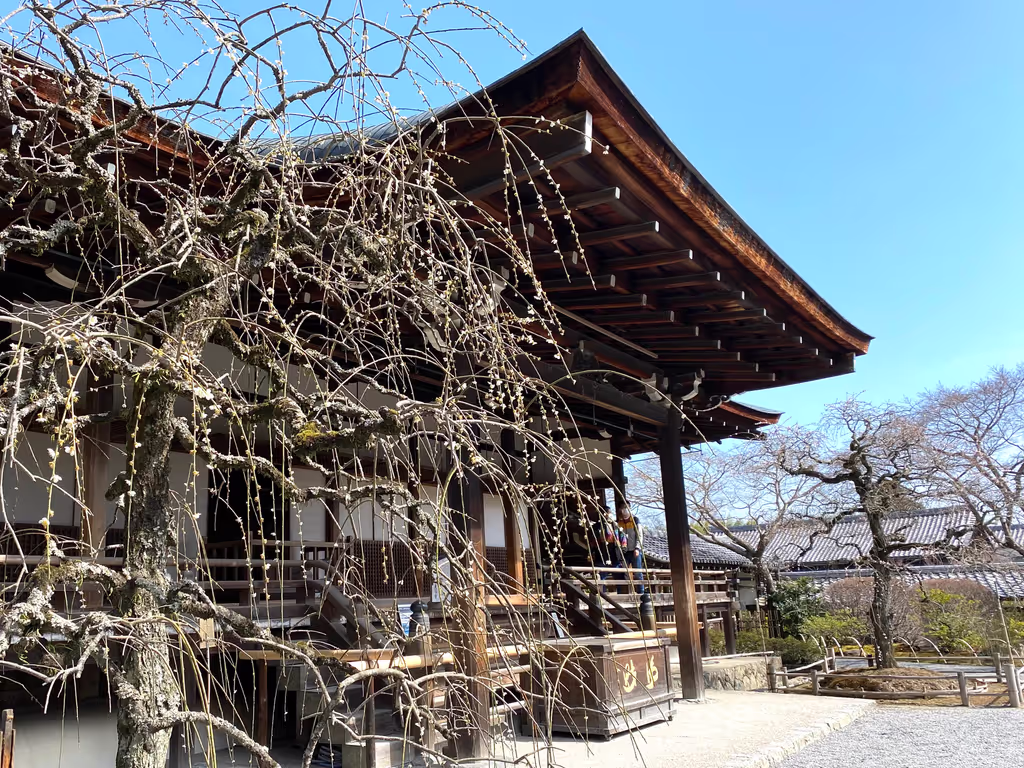Kyoto Private Tour - 