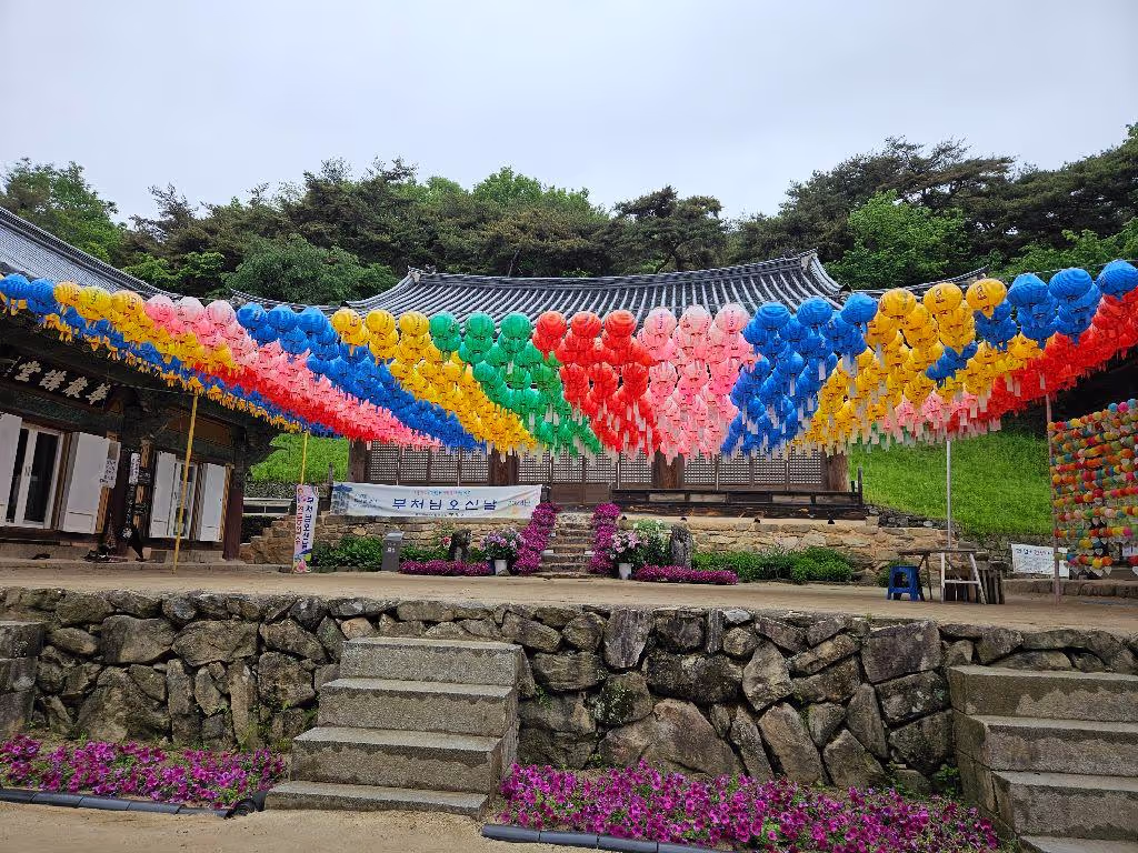 North Gyeongsang Private Tour - 