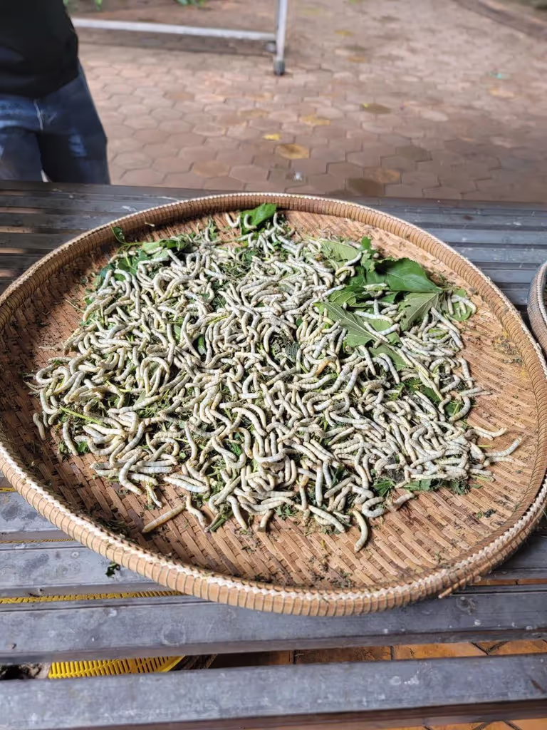 Phnom Penh Private Tour - 