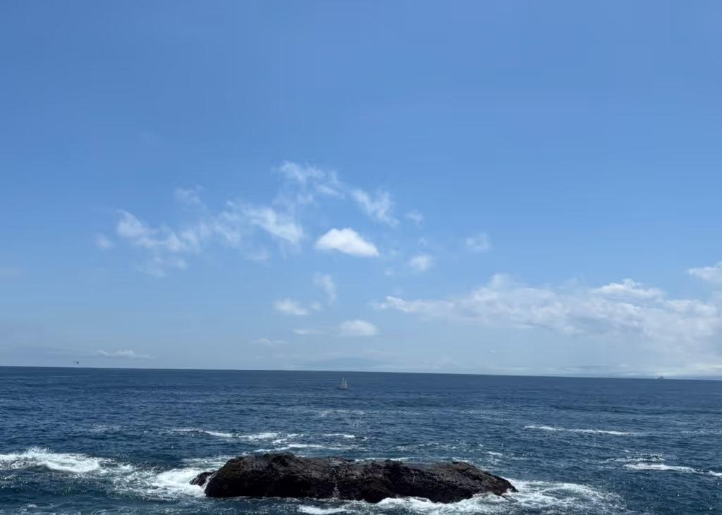 Kanagawa Private Tour - 