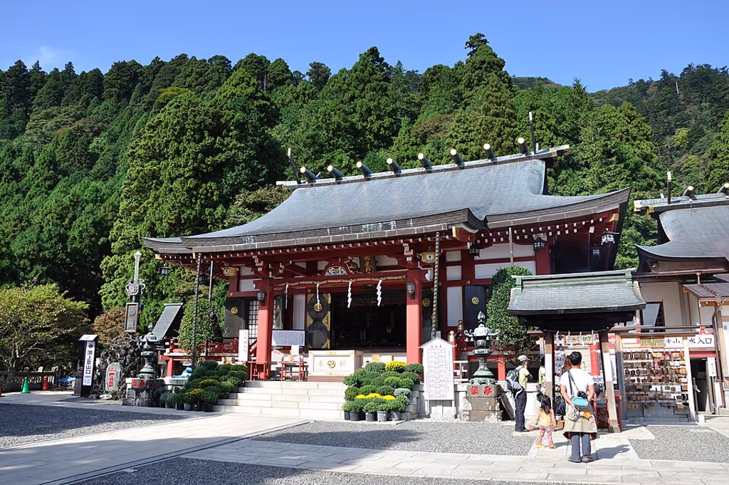 Kanagawa Private Tour - 