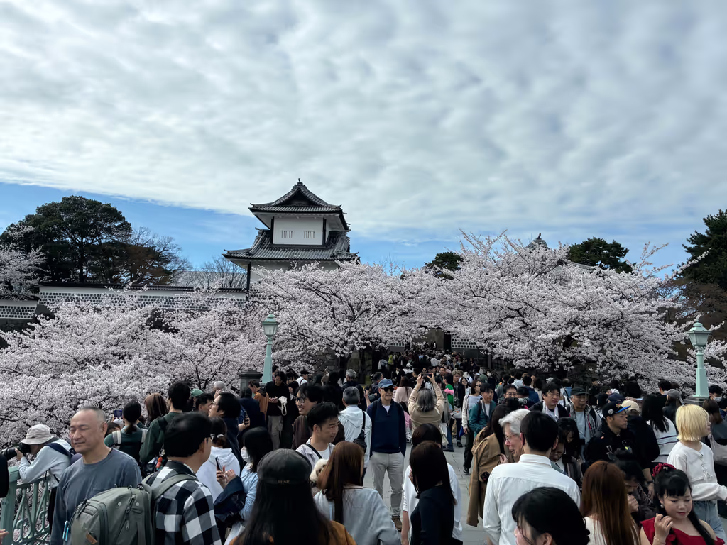 Toyama Private Tour - Cherry blossom season in 2026 April