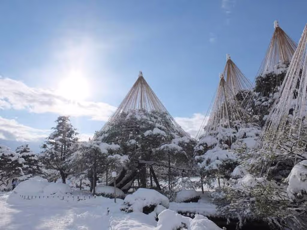 Toyama Private Tour - Kenrokuen with snow