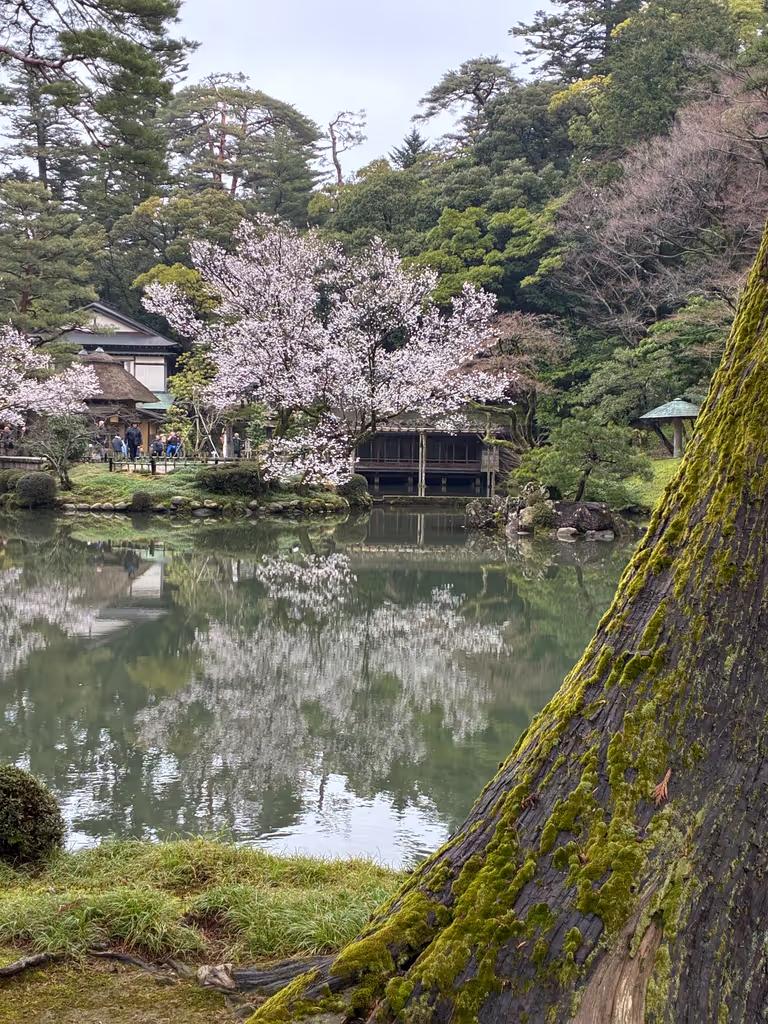 Toyama Private Tour - Tea house in the garden 2026