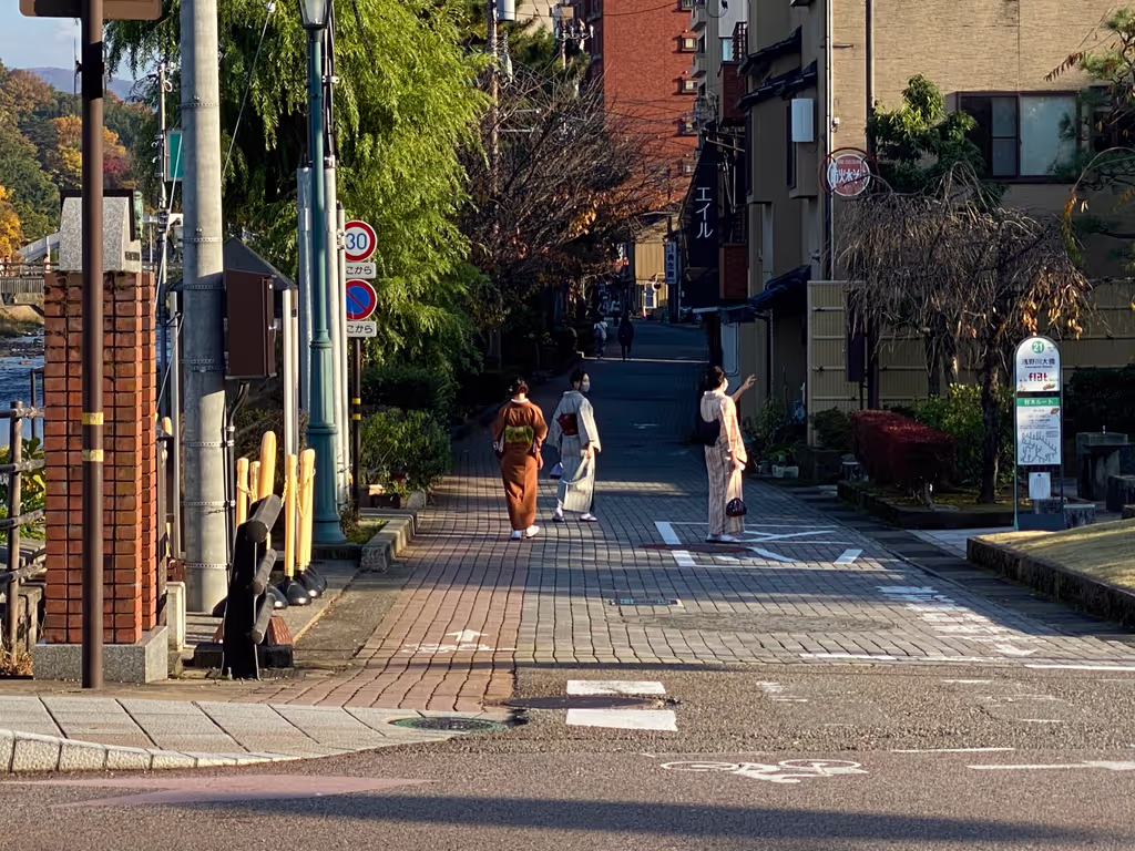 Toyama Private Tour - Geisha girls on street
