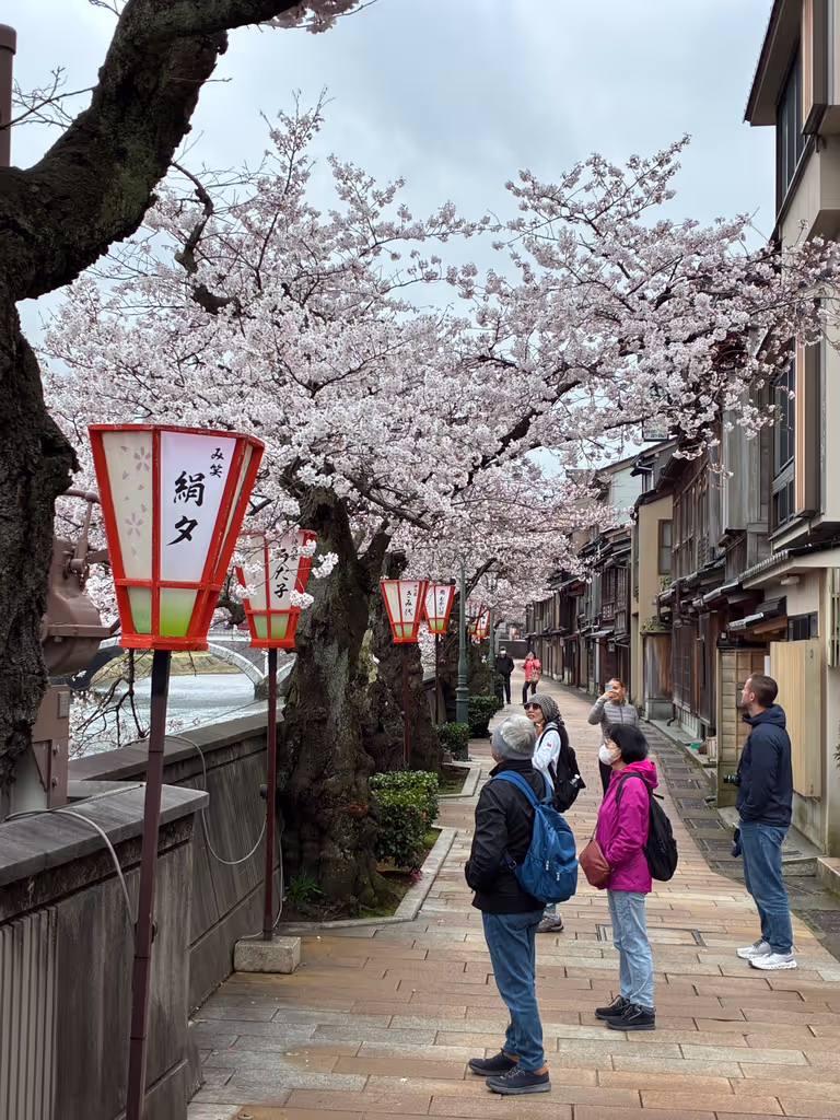 Toyama Private Tour - Geisha street in April 2026