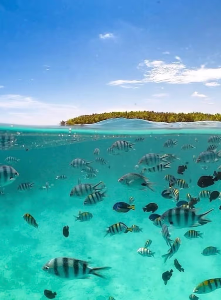 Zanzibar Private Tour - 