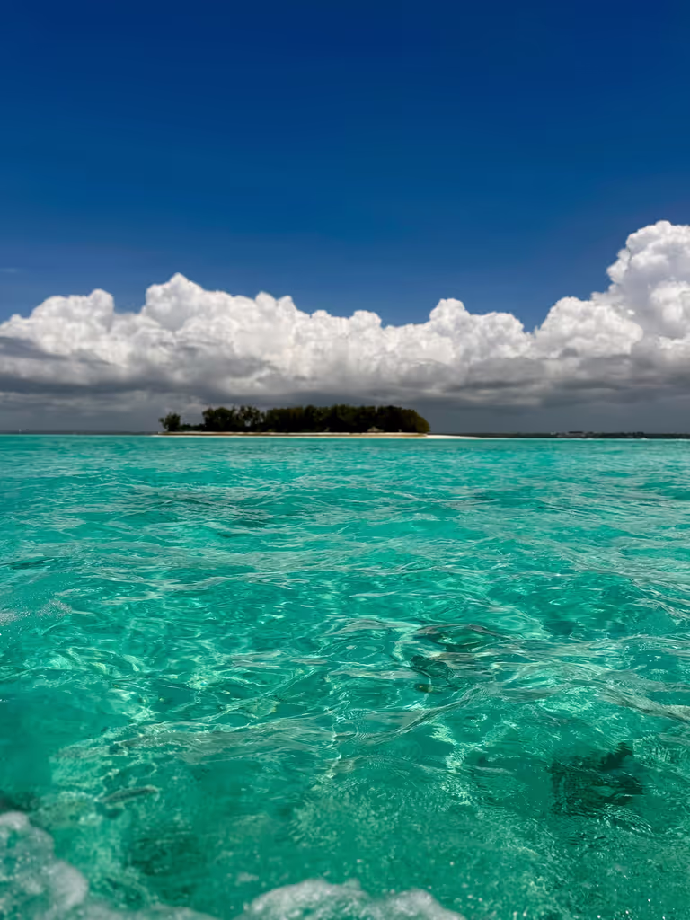Zanzibar Private Tour - 
