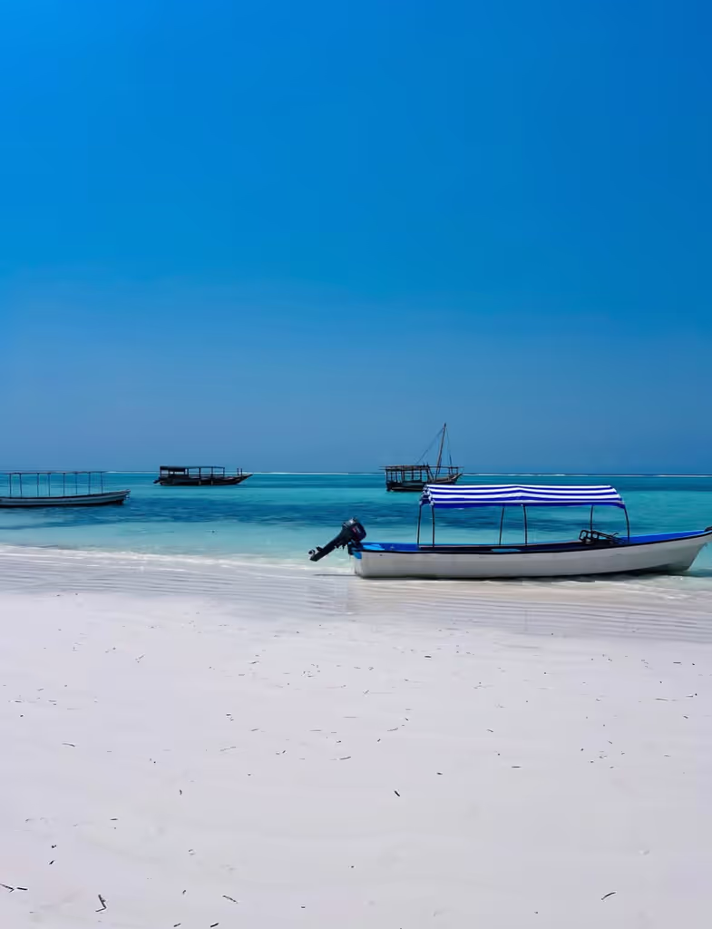 Zanzibar Private Tour - 