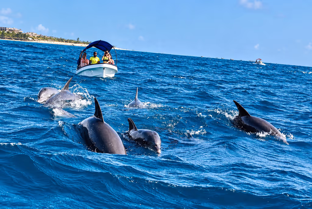 Zanzibar Private Tour - 