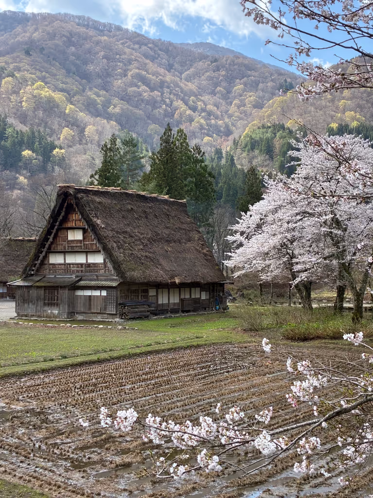 Toyama Private Tour - 
