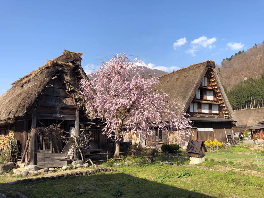 Toyama Private Tour - 