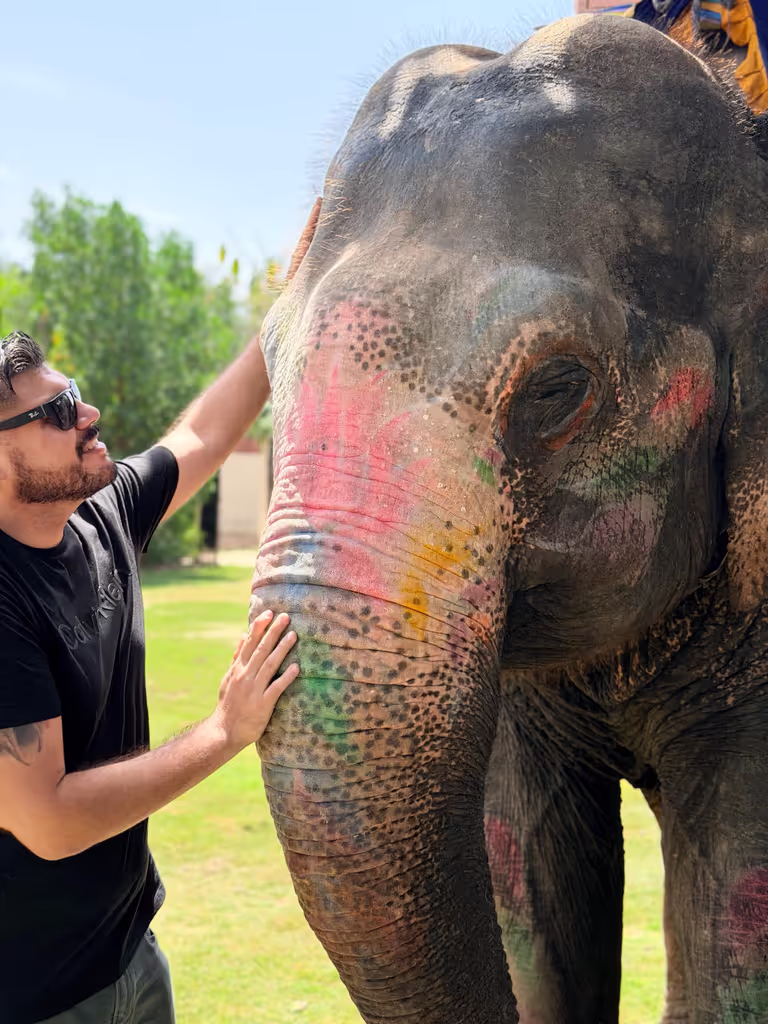 Jaipur Private Tour - Ethical Elephant Village Expriences