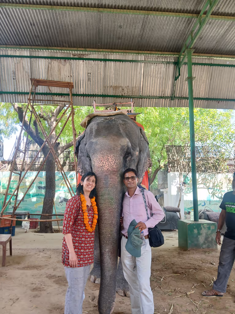 Jaipur Private Tour - elephant interaction experience