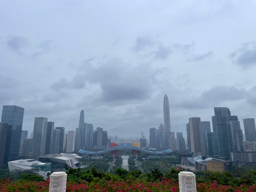 Shenzhen Private Tour - Lianhua Hill Park