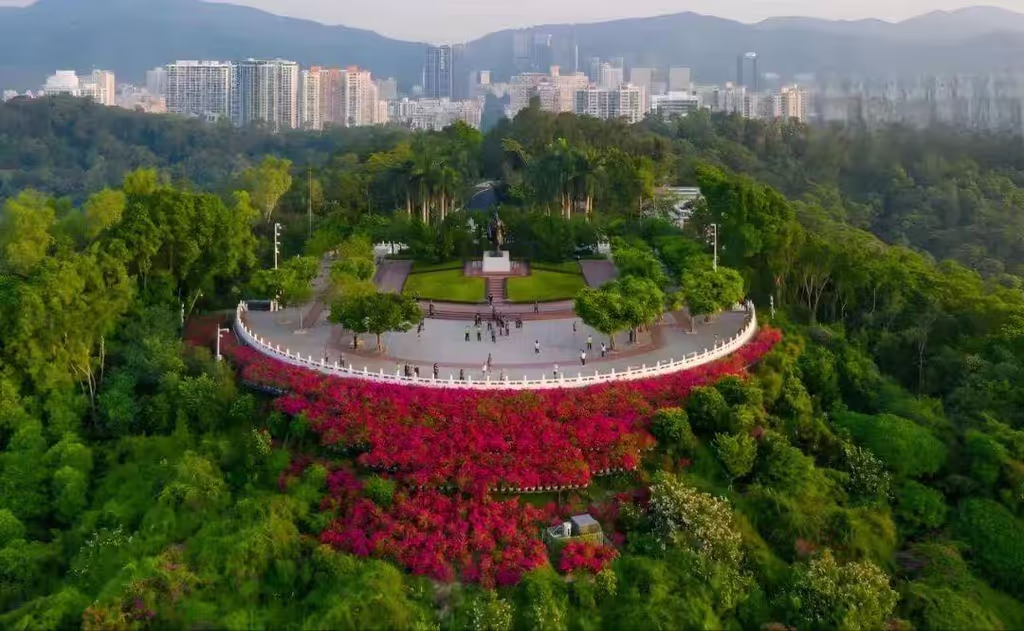 Shenzhen Private Tour - Lianhua Hill Park