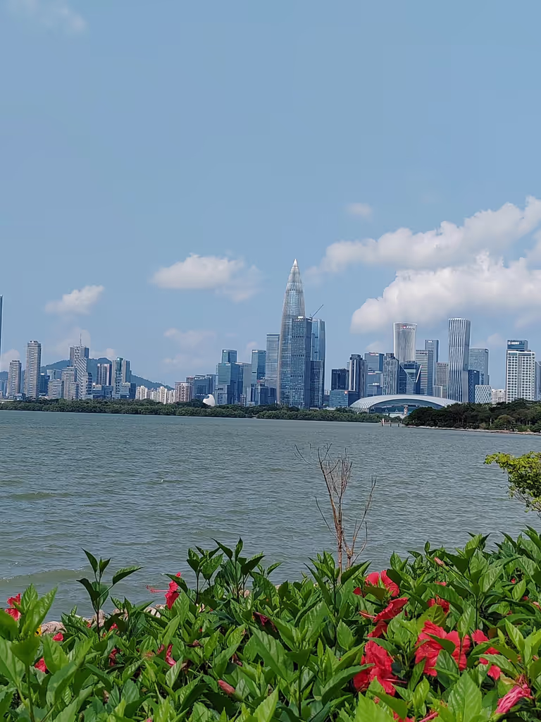 Shenzhen Private Tour - Shenzhen Bay Park