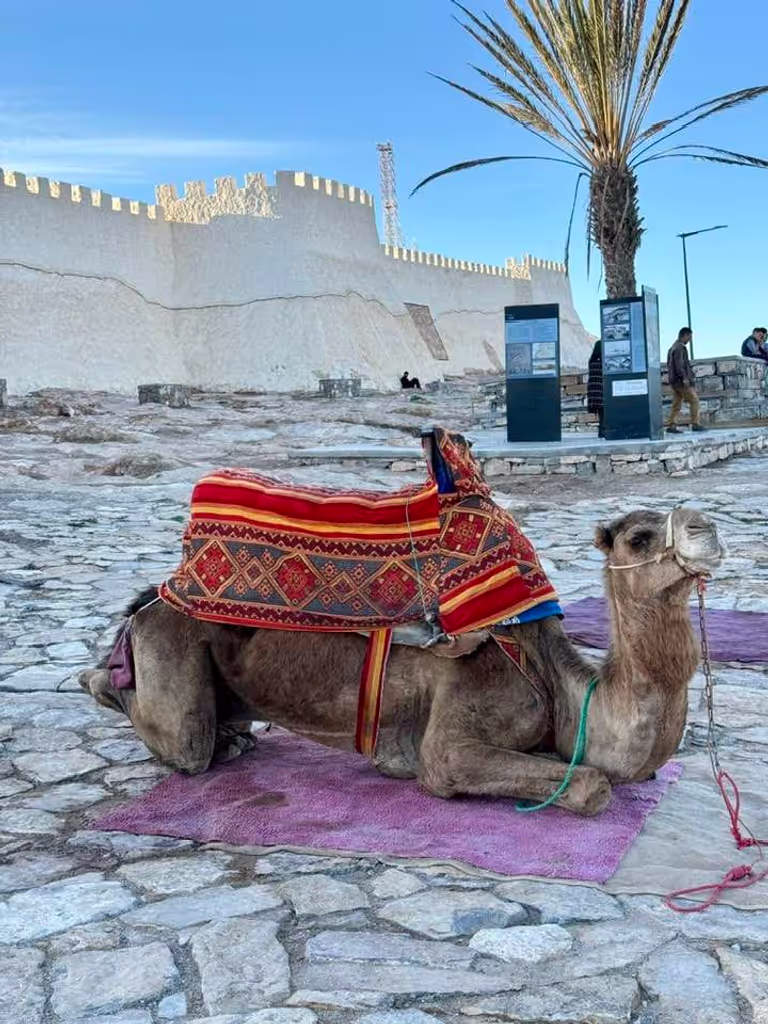 Agadir Private Tour - Agadir Oufella