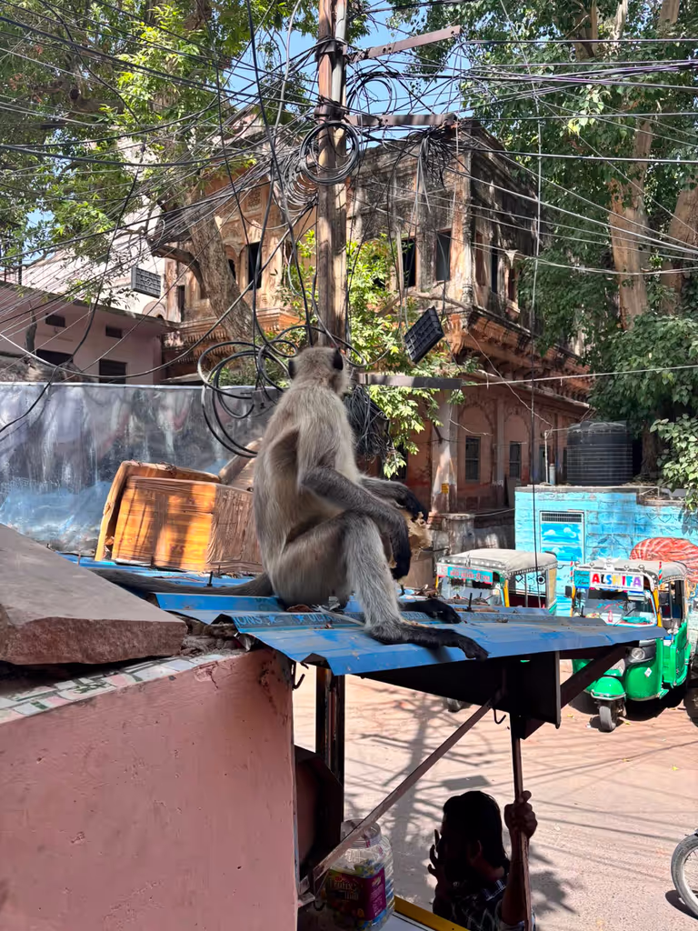 Jodhpur Private Tour - 