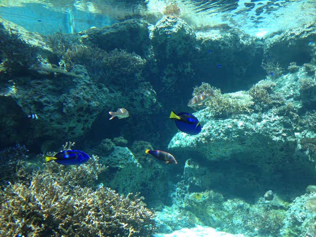 Okinawa Main Island Private Tour - 