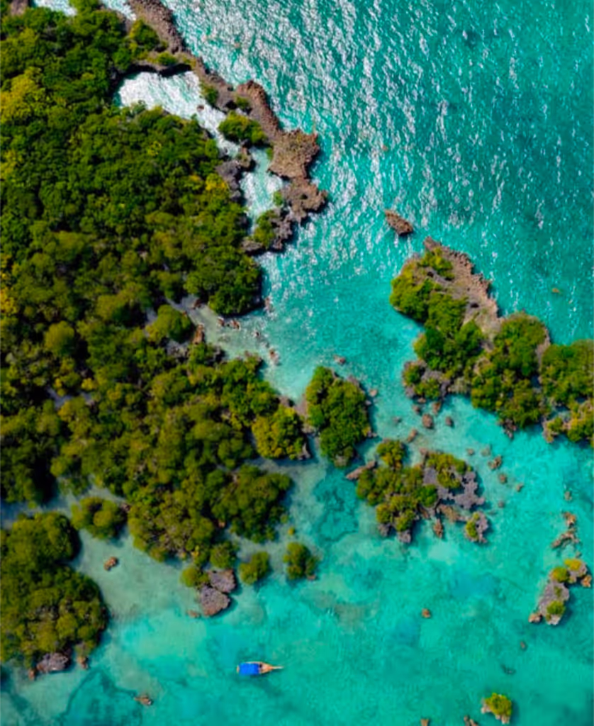 Zanzibar Private Tour - 