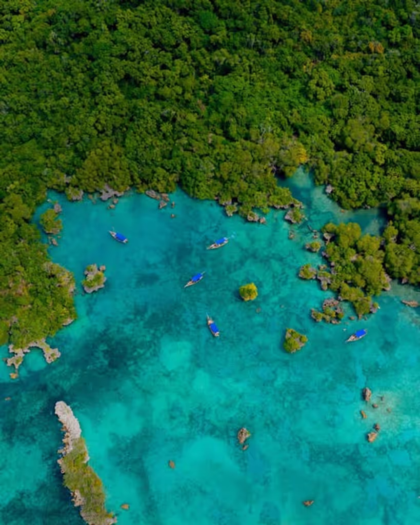 Zanzibar Private Tour - 
