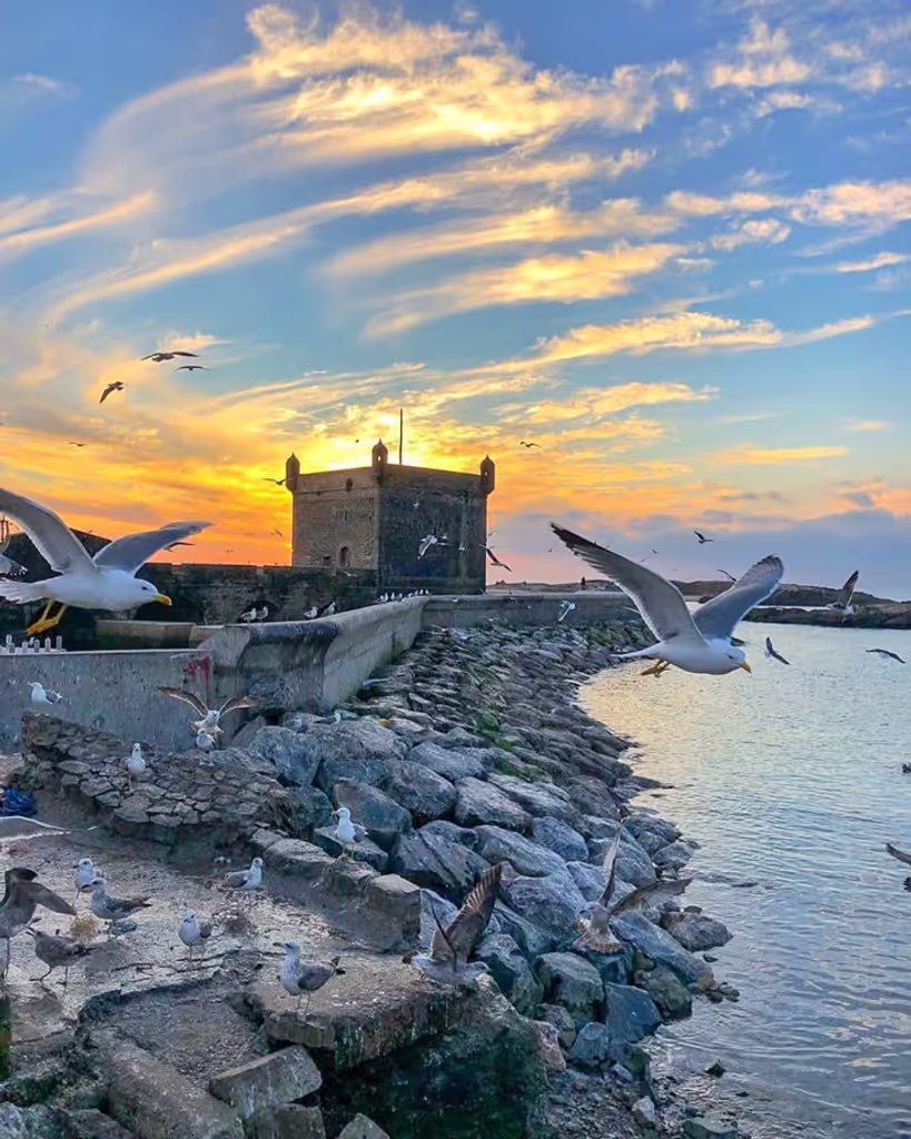 Agadir Private Tour - Essaouira Port2