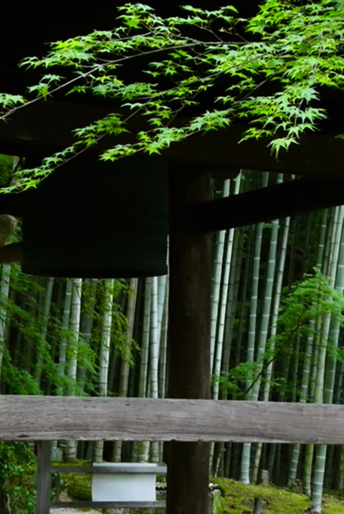 Kyoto Private Tour - Enkoji