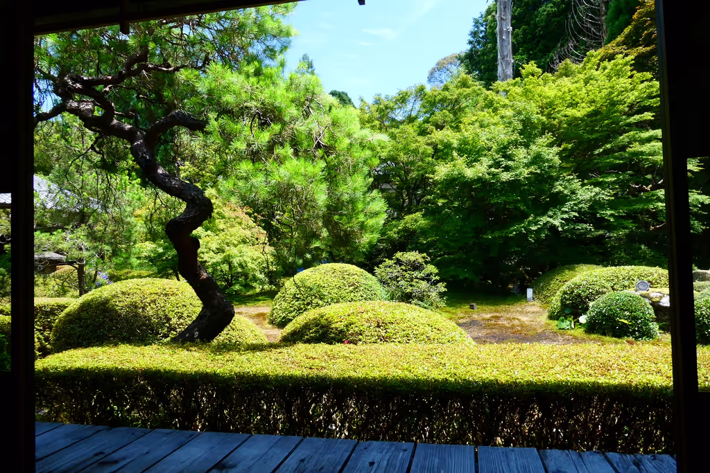 Kyoto Private Tour - UN-Ryu-in garden
