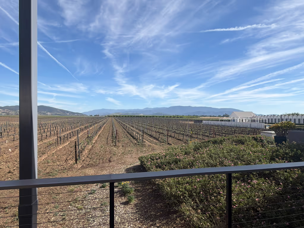 Los Angeles Private Tour - 
