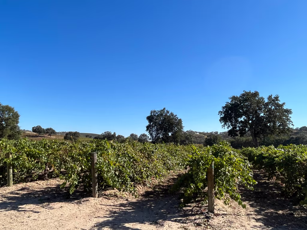Santa Barbara Private Tour - 