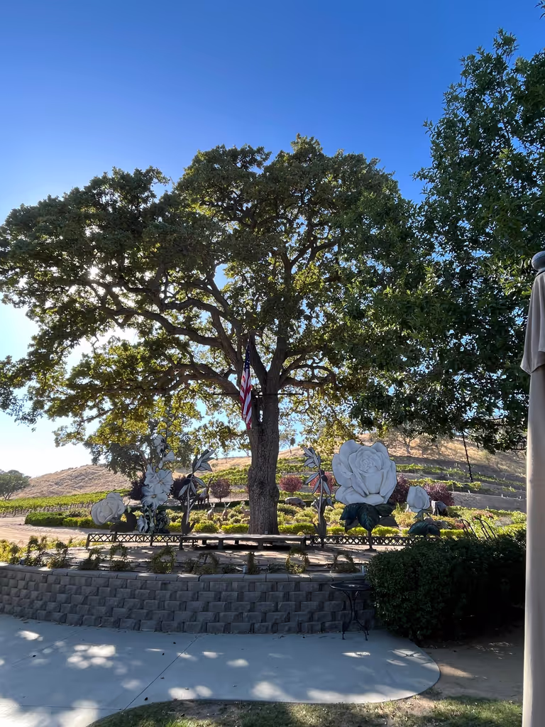 Santa Barbara Private Tour - 