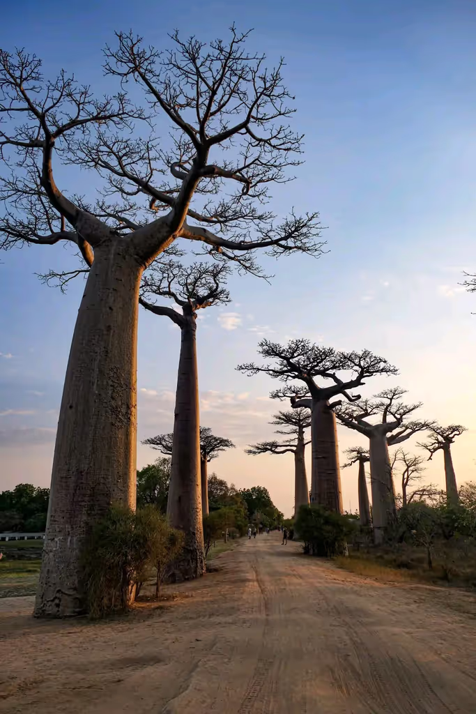 Toliara Private Tour - 