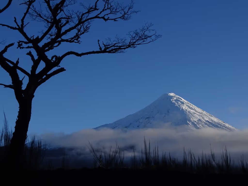 Puerto Varas Private Tour - 