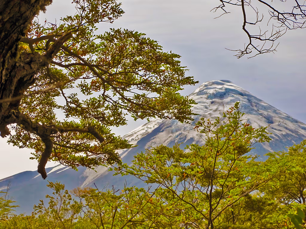 Puerto Varas Private Tour - 