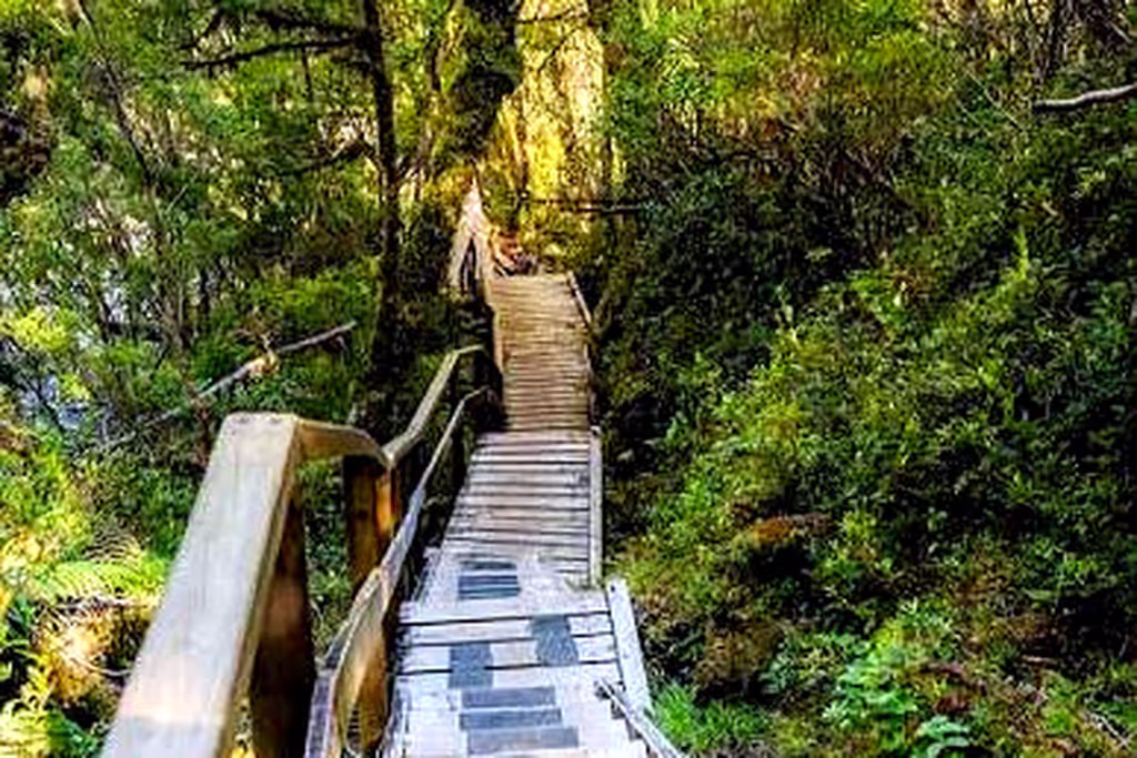 Puerto Varas Private Tour - 