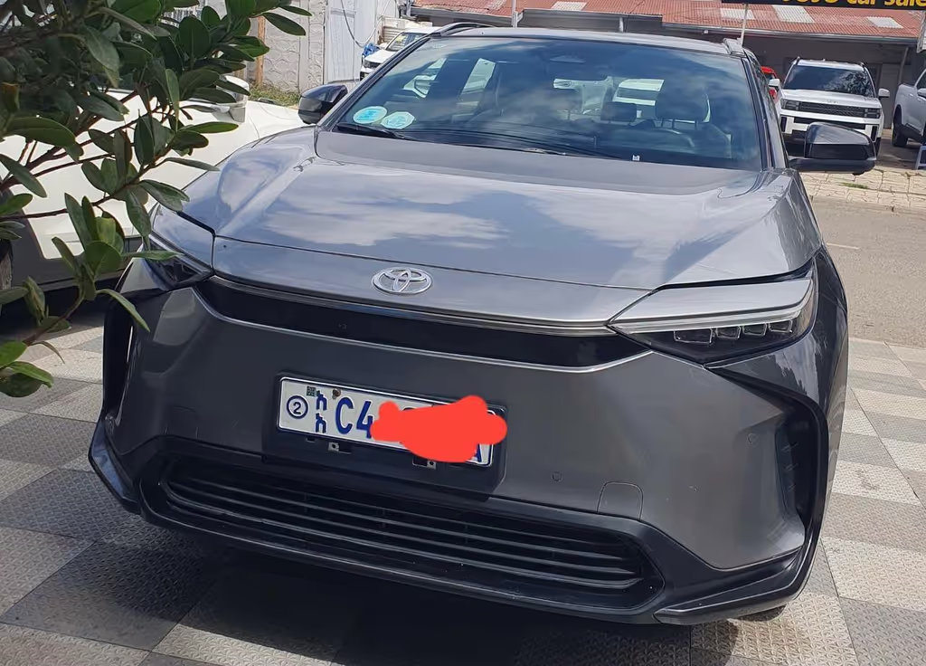 Addis Ababa Private Tour - electric car