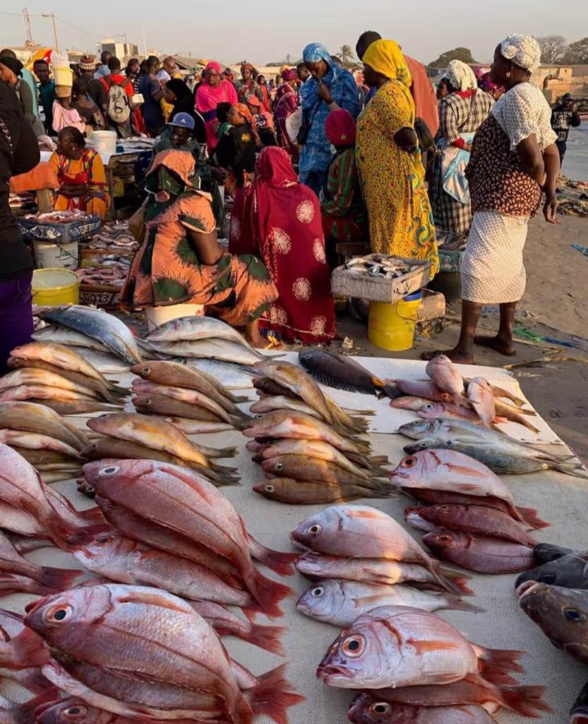 Dar es Salaam Private Tour - 
